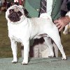 Christopher_th.jpg (4680 bytes)